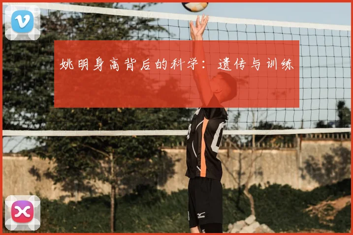 姚明身高背后的科学：遗传与训练