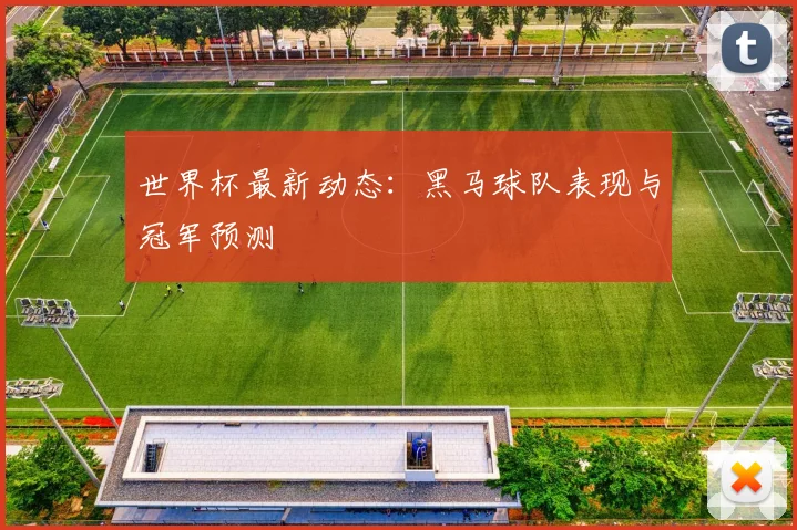 世界杯最新动态：黑马球队表现与冠军预测
