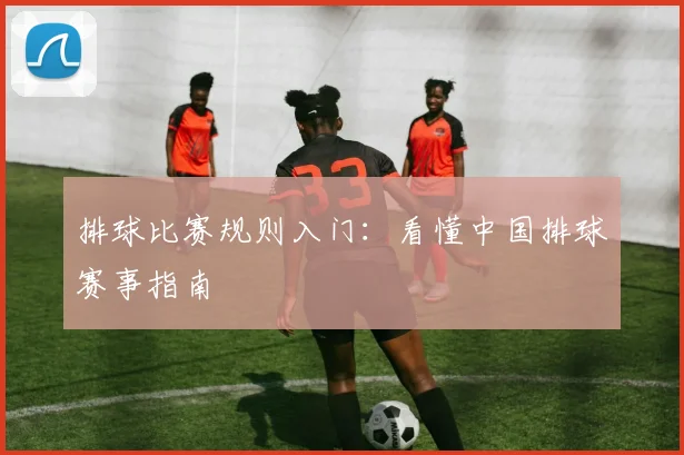 排球比赛规则入门:看懂中国排球赛事指南