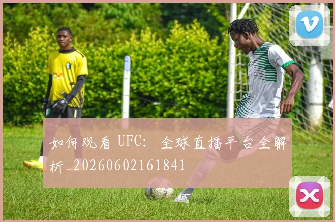 如何观看 UFC：全球直播平台全解析_20260602161841