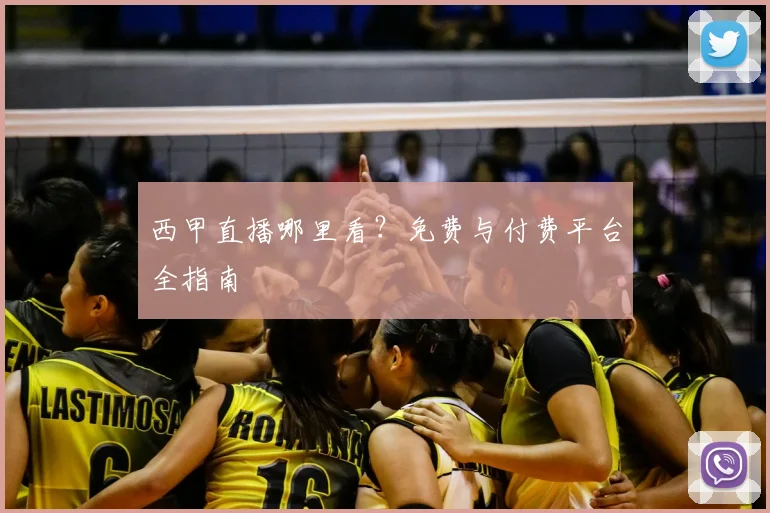 西甲直播哪里看？免费与付费平台全指南